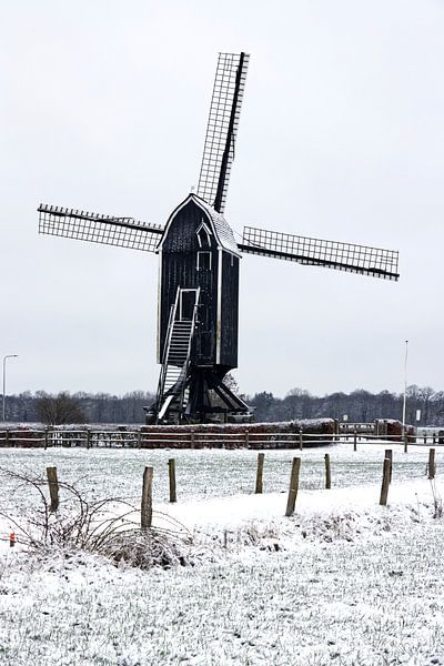 Le moulin de Wissink dans la neige par sanelizs