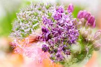 Purpurrote Lauchblume und -knospe. Doppelbelichtung