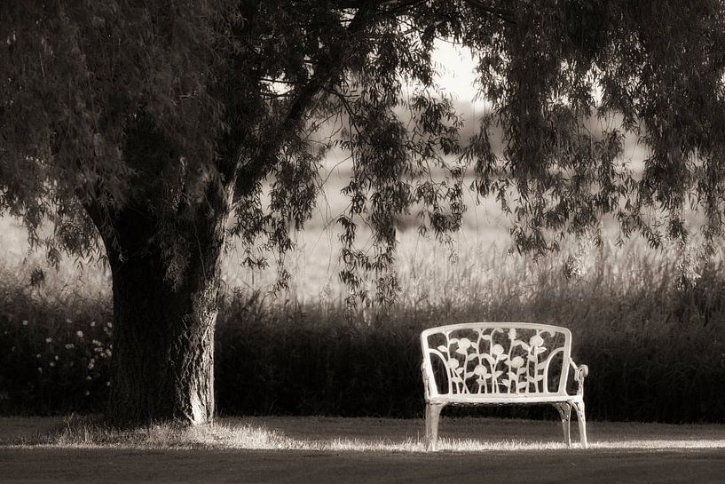 Banc Blanc by Renald Bourque