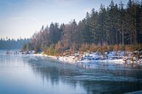 Frozen lake in the forest