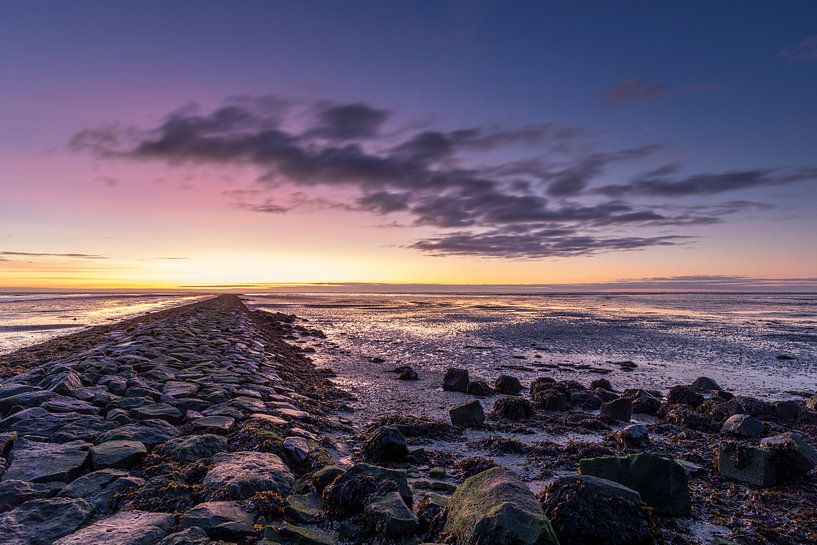 Waddenpracht - Natural Ameland by Anja Brouwer Fotografie