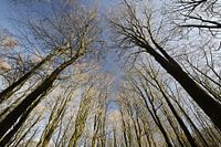 Halten Sie den Kopf oben