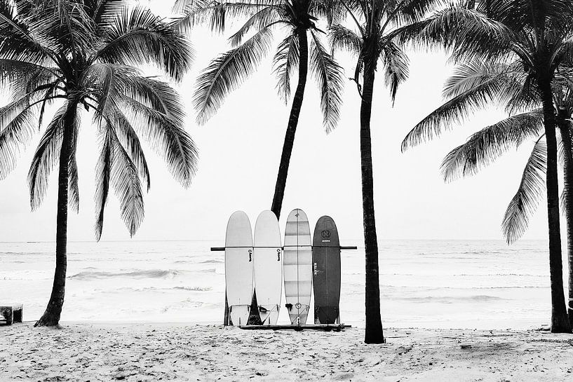 Die Bretter von Kathrin Pienaar