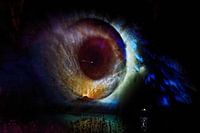 Big Brother is watching you