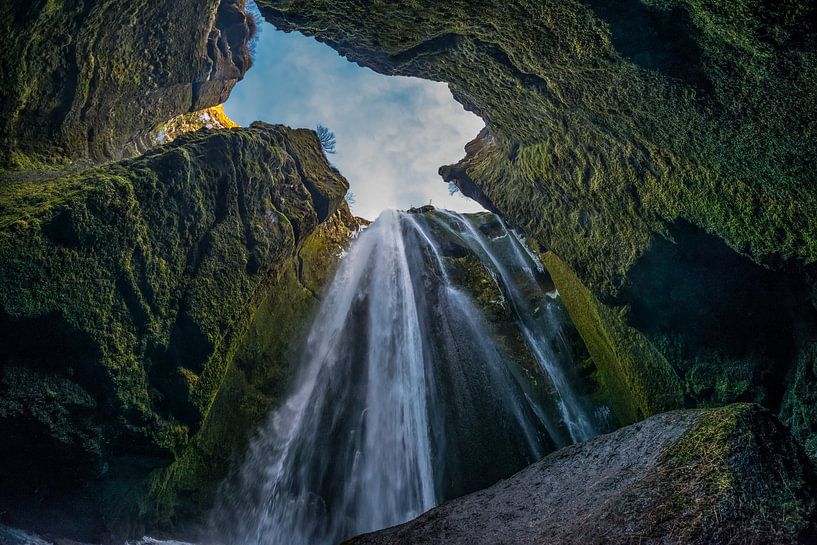 Grot bewoner par Gerry van Roosmalen