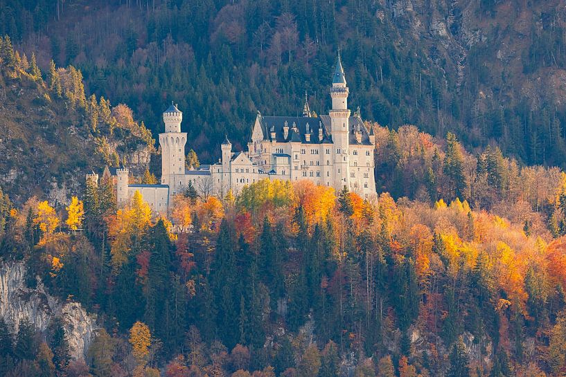 Seitenansicht von Schloss Neuschwanstein, Bayern, Deutschland von Henk Meijer Photography