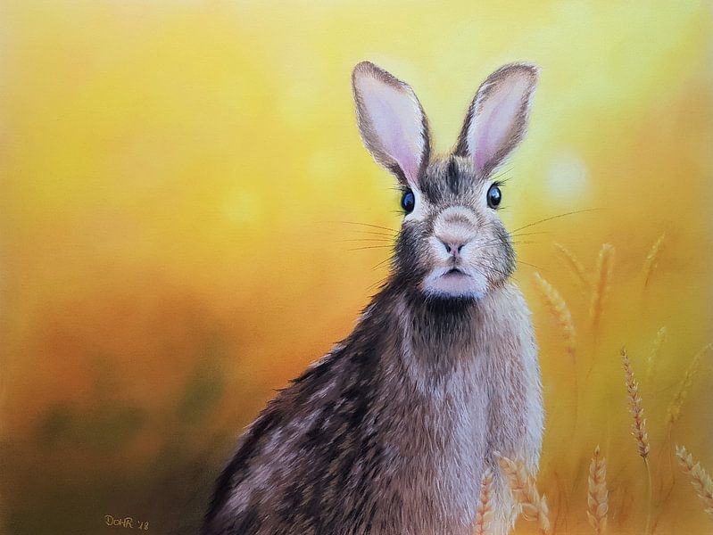 Häsle by Renate Dohr