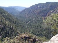 Yosemite National Park