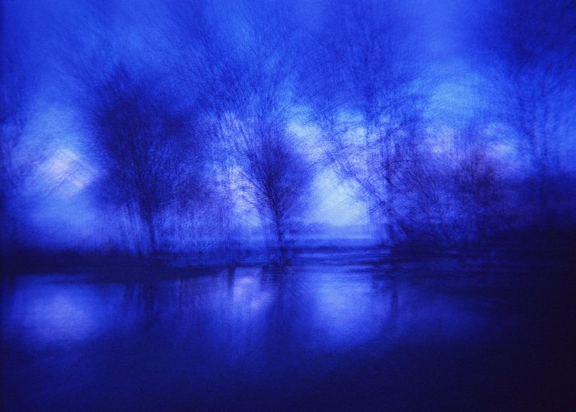 forêt mystique par Karel Ham