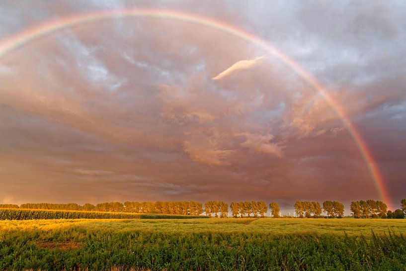Rainbow in the evening sky by Rolf Pötsch