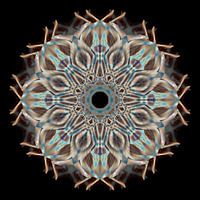 Ich bin... Umgekehrter Fluss