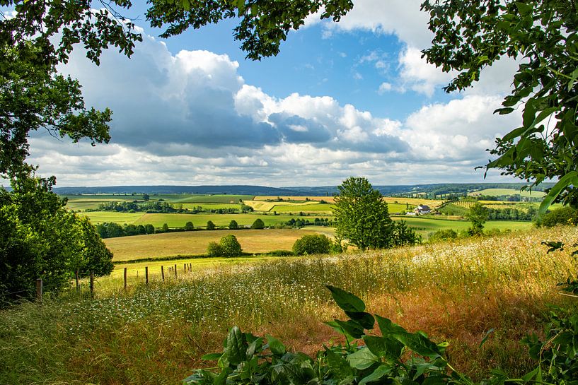 Durchsehen von peter reinders
