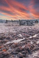 Cold morning with rising sun vertically