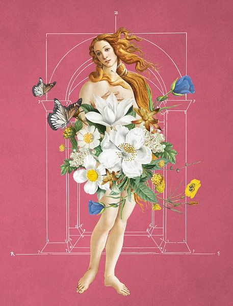 Botticelli's Venus von Marja van den Hurk