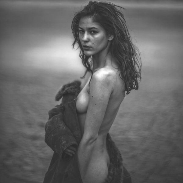 1502 von Bogdan Botofei