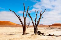 Kunst in een droge woestijn...