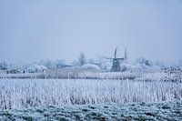 Frisian Mill in winter landscape with skaters.
