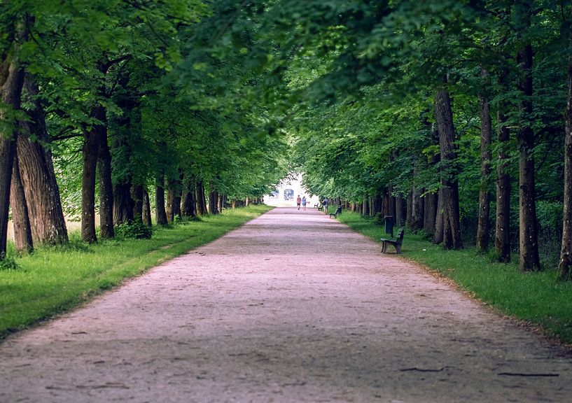Garten Eden von D.R.Fotografie