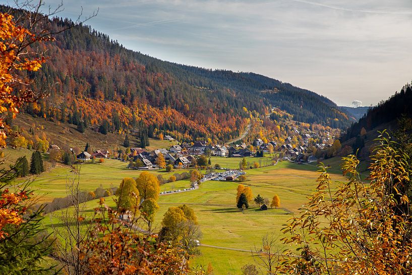 Blick ins Menzenschwander Tal von Alexander Wolff