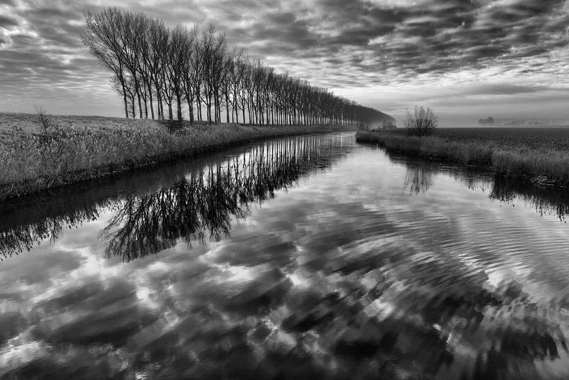 Paulinapolder by Willy Lippens