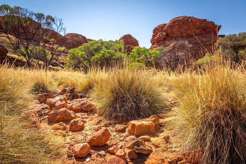 Kings Canyon - Australia by Troy Wegman
