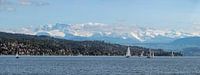 Zürichsee-Panorama