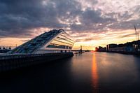 Hamburg in the evening