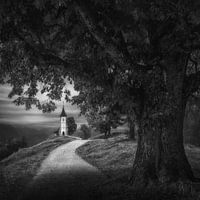 Une présence durable