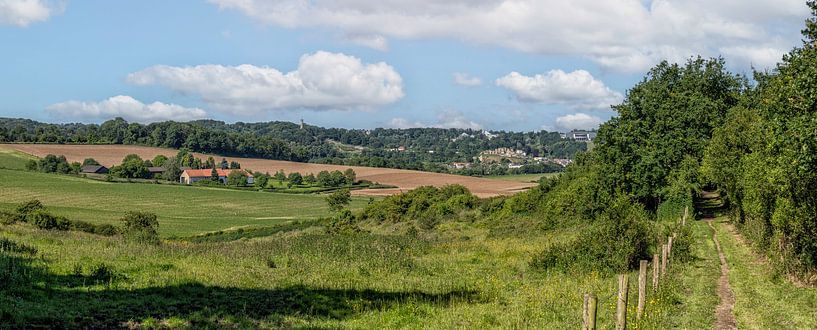 Panorama von Valkenburg mit den Wilhelminatoren als Blickfang von John Kreukniet