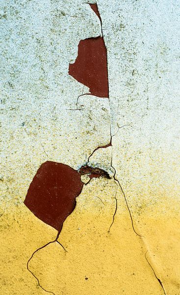 Risse im Lack 2 von Reinder Tasma