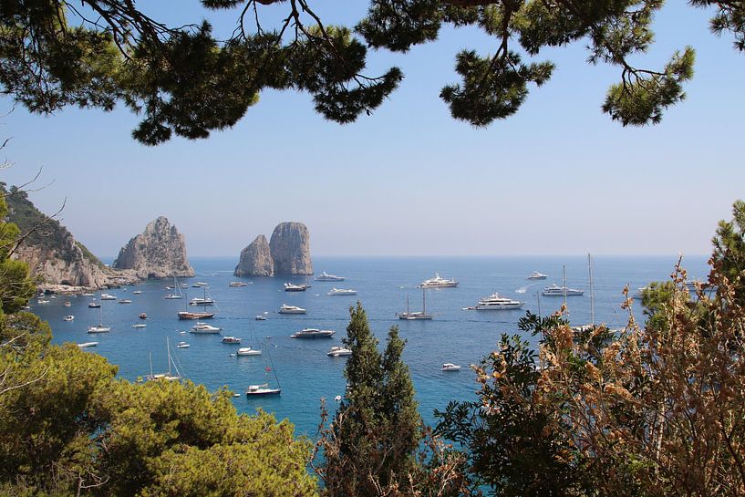 Sea breeze by Marije Zwart