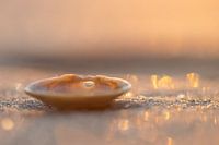 Un joyau de la plage.