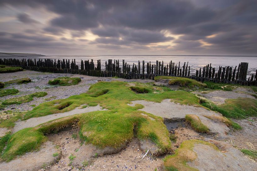 Waddenkust bij Moddergat von Elroy Spelbos Fotografie