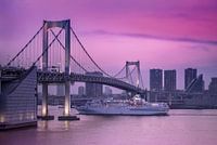 Navire de croisière sous le pont Rainbow Bridge de Tokyo