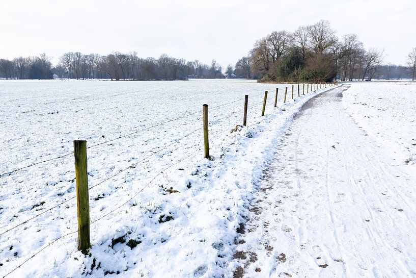 Snow landscape with path between meadows by Ben Schonewille