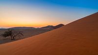 SossusVlei Sunrise
