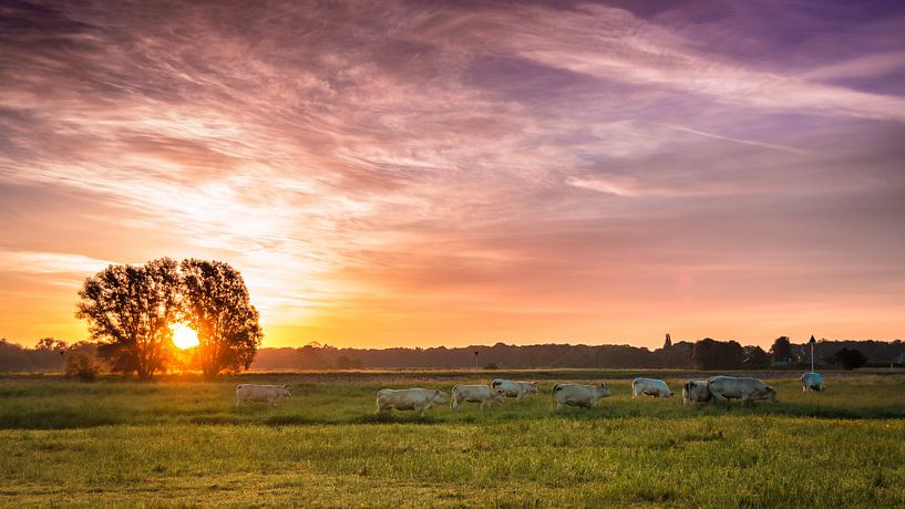 Sonnenaufgang in Terwolde von Rob Sprenger