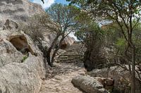 Treppe aus groben Steinen und Felsen mit Baum und Pflanzen im Garten Sardiniens in der Nähe von Palu