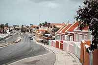 Colored houses in Willemstad - Curacao
