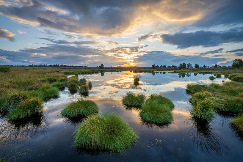 Coucher de soleil Brackvenn. par Sander Ros