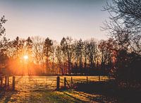 Frozen Evening Sun 2. Golden Hour Winter.