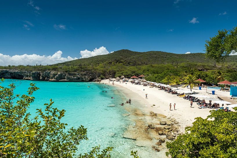 Grote Knip, Curacao by Keesnan Dogger Fotografie
