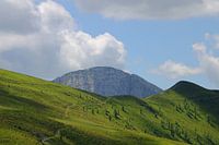 Green mountain pasture in Carinthia