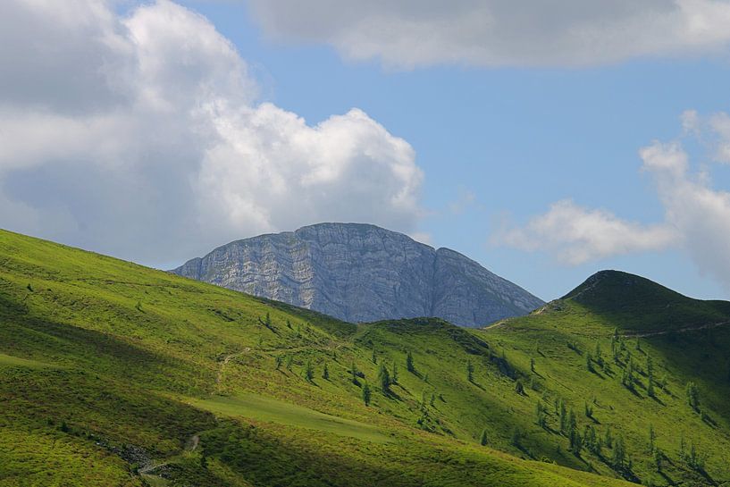 Green mountain pasture in Carinthia by Niels van den Berg