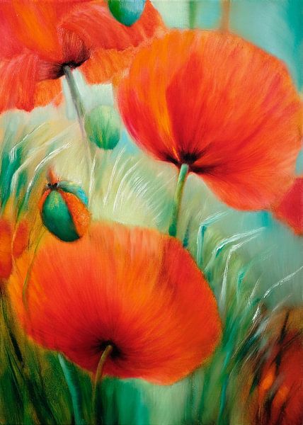 In june by Annette Schmucker