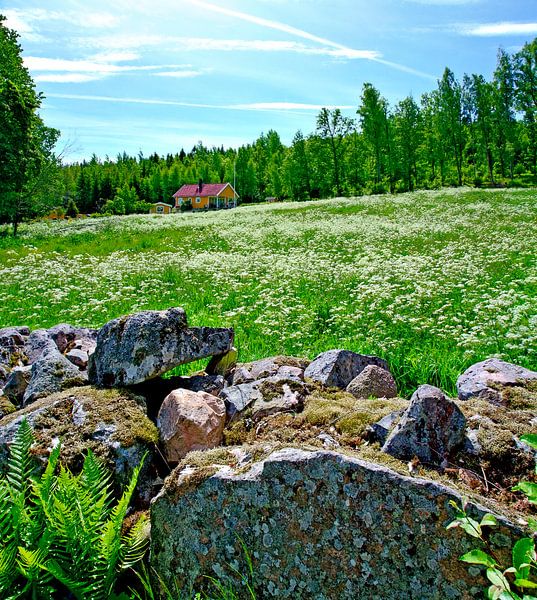 Blühende Wiese von Leopold Brix