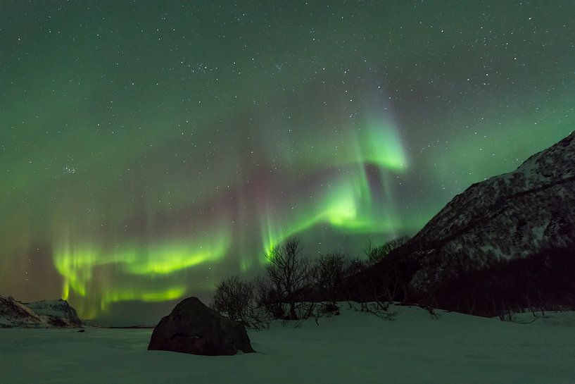 Northern Lights, Aurora Borealis over the Lofoten Islands in Nor by Sjoerd van der Wal Photography