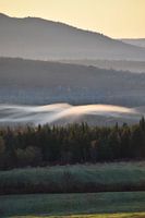 Ein Nebel an einem Herbstmorgen