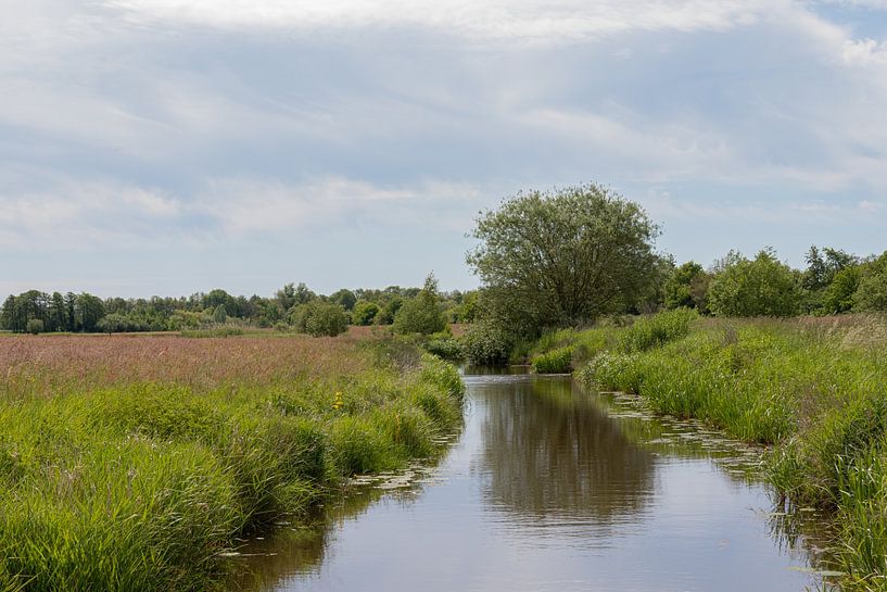 Groningen et Drenthe Veenkoloniën par Johan Mooibroek