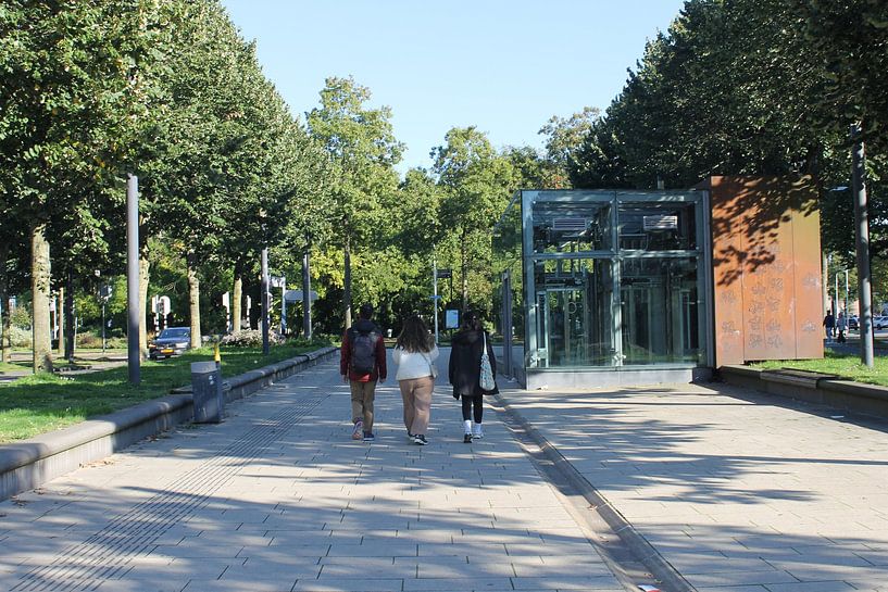 walking through Nijmegen by Frans Kuit